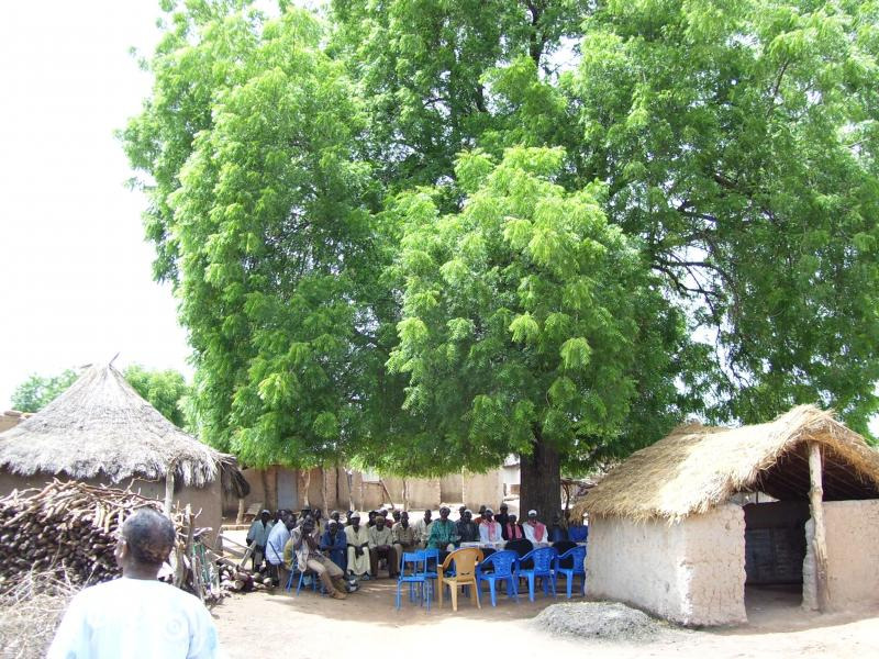 Town meeting. Photo courtesy of Abdoulaye Djimdé.